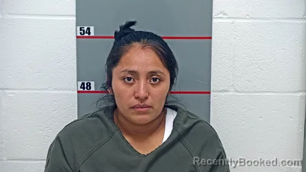 Mugshot of Elvira Miguel-Tomas booked in Grayson County, Kentucky on August 31, 2026