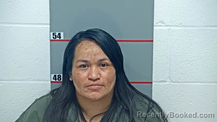 Mugshot of Areli Lozano-Garcia booked in Grayson County, Kentucky on September 2, 2026