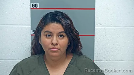 Mugshot of Miriam Lara-Valerio booked in Grayson County, Kentucky on September 5, 2026