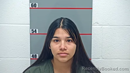 Mugshot of Yuliex Hernandez Rojas booked in Grayson County, Kentucky on September 7, 2026