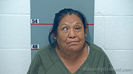 Mugshot of Ricarda Martinez-Matamoros booked in Grayson County, Kentucky on September 11, 2026