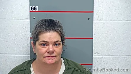 Mugshot of Pamela Collins booked in Grayson County, Kentucky on October 2, 2026