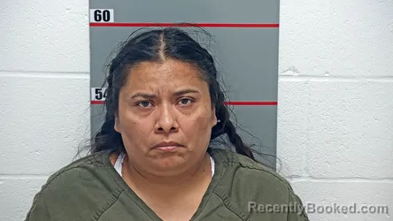 Mugshot of Grisel Juarez Ruiz booked in Grayson County, Kentucky on October 7, 2026