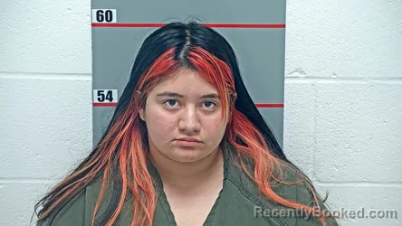 Mugshot of Seiddy Arias Ramos booked in Grayson County, Kentucky on October 7, 2026