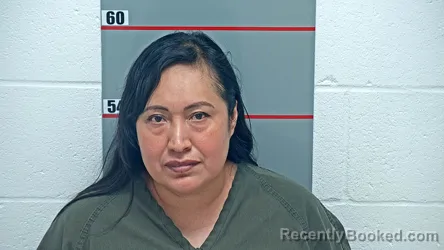 Mugshot of Erika Orta-Cobos booked in Grayson County, Kentucky on October 8, 2026