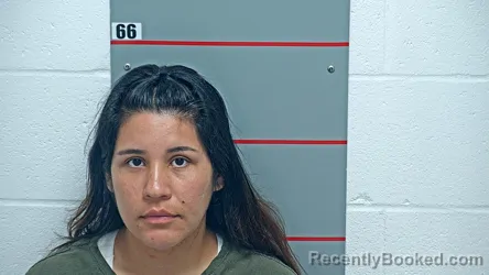 Mugshot of Maria Solis Sanchez booked in Grayson County, Kentucky on October 8, 2026