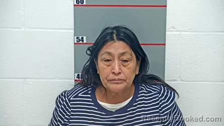 Mugshot of Isabel Pedro-Bartollo booked in Grayson County, Kentucky on October 17, 2026