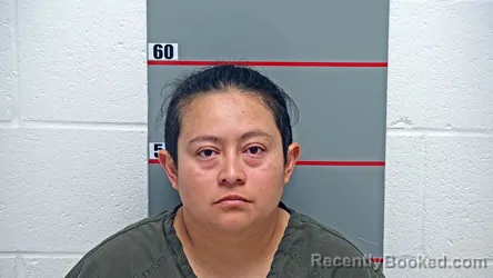 Mugshot of Ana Gabriela Lopez-Merero booked in Grayson County, Kentucky on October 19, 2026