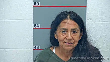 Mugshot of Clara Gonzales-Landero booked in Grayson County, Kentucky on October 21, 2026