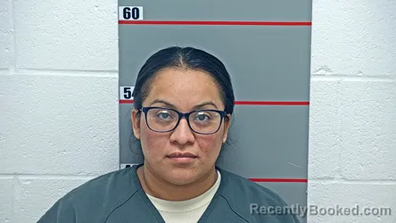 Mugshot of Rosa Castillo-Montano booked in Grayson County, Kentucky on October 21, 2026