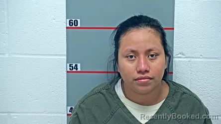 Mugshot of Guillermina Tomas-Roblero booked in Grayson County, Kentucky on October 21, 2026