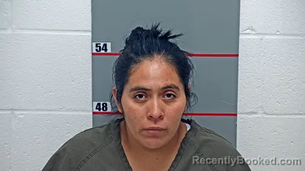Mugshot of Elena Lorenzo-Juan booked in Grayson County, Kentucky on October 21, 2026