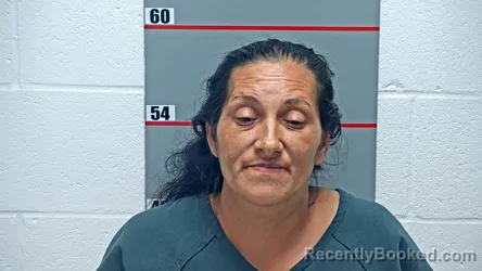 Mugshot of Lacrimioara Chirita booked in Grayson County, Kentucky on October 23, 2026