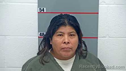 Mugshot of Anita Pascual booked in Grayson County, Kentucky on October 26, 2026