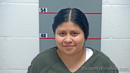 Mugshot of Paulina Mateos Santiago booked in Grayson County, Kentucky on October 26, 2026