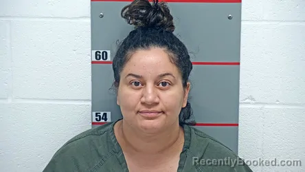 Mugshot of Fatma Farhani booked in Grayson County, Kentucky on October 27, 2026