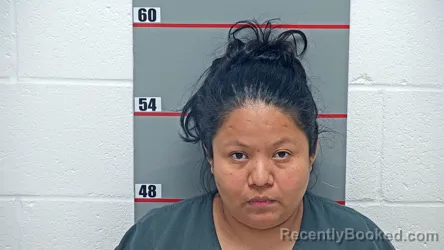 Mugshot of Yolanda Javier booked in Grayson County, Kentucky on October 28, 2026