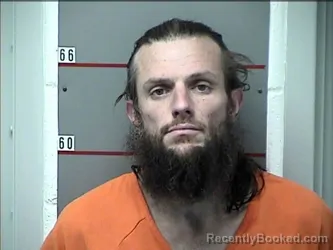 Mugshot of WALTER ANTHONY HIGGS