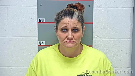 Mugshot of CRYSTAL GAYLE WILSON