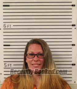 Mugshot of AMY DENICE HERRON booked in Madison County, North Carolina on June 8, 2026