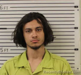 Mugshot of BRAYARR ALLAHYAR KHODAYAR booked in Madison County, North Carolina on April 15, 2026