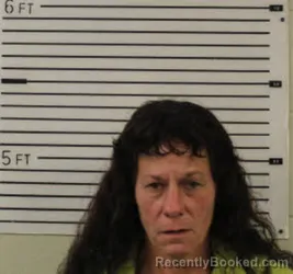 Mugshot of TAMMY TENNILLE ANDERSON booked in Madison County, North Carolina on July 27, 2026