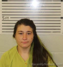 Mugshot of Destiny Nicole Marks booked in Madison County, North Carolina on August 5, 2026