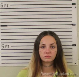 Mugshot of NICOLE ISABELLA- CHRISTINE SAWYER booked in Madison County, North Carolina on June 22, 2026