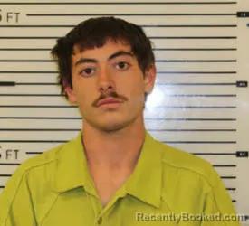 Mugshot of LEVI DWAYNE STINES