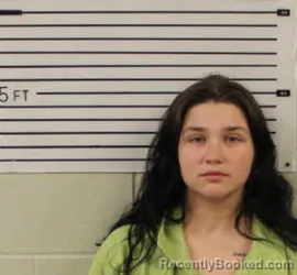 Booking photo from Madison County, North Carolina