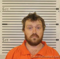 Mugshot of RANDY MARK WRENN