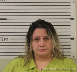 Mugshot of MISTY LYNJN SHELTON