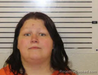 Mugshot of JERSEY MELISSA EVANS booked in Madison County, North Carolina on March 31, 2026