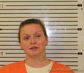 Mugshot of ASHLEY NICOLE CORBIN booked in Madison County, North Carolina on April 5, 2026