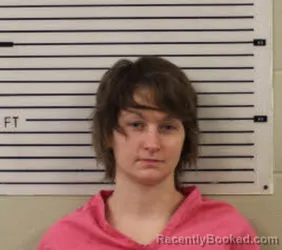 Mugshot of KAYCE LYNN AMMONS booked in Madison County, North Carolina on April 14, 2026