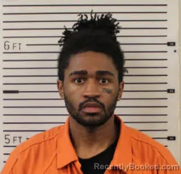 Mugshot of CAMERON SHYHEIM WILLIAMS booked in Madison County, North Carolina on April 14, 2026