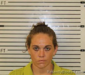 Mugshot of LISA NICOLE ELLISON booked in Madison County, North Carolina on June 8, 2026