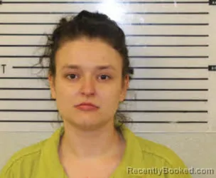 Mugshot of Jessica Renee Norton booked in Madison County, North Carolina on August 4, 2026
