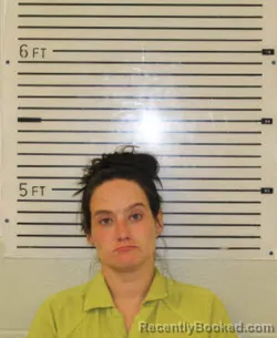 Mugshot of Tonya Renee Bryson booked in Madison County, North Carolina on August 17, 2026
