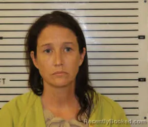 Mugshot of Lesley Erin Sparks booked in Madison County, North Carolina on September 17, 2026
