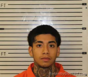 Mugshot of Dylan Kenneth Arenales booked in Madison County, North Carolina on September 25, 2026