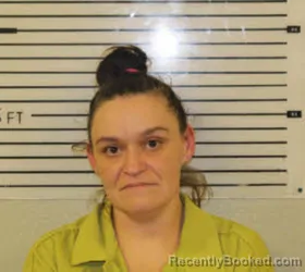 Mugshot of JESSICA LACHELL CHANDLER booked in Madison County, North Carolina on March 27, 2026