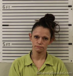 Mugshot of JONI LEANN MASSEY booked in Madison County, North Carolina on June 23, 2026