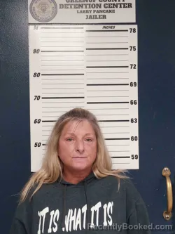 Mugshot of JILL JOURNEY