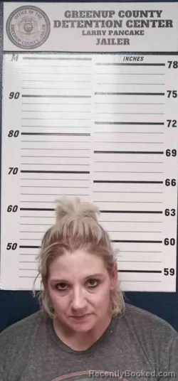Mugshot of NIKKI GRIFFITH
