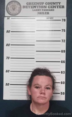 Mugshot of LEIGHANN SPRIGGS booked in Greenup County, Kentucky on July 30, 2026