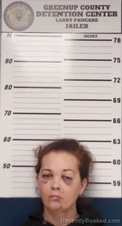 Mugshot of HEATHER BLEVINS