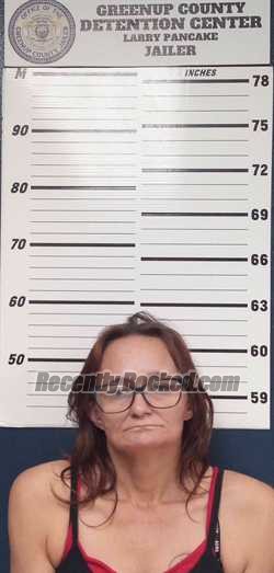 Booking photo from Greenup County, Kentucky