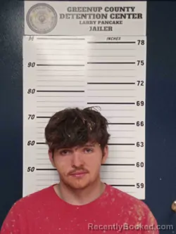 Mugshot of BRONSON HOWARD