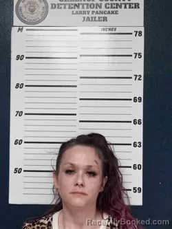 Mugshot of JORDAN GOSHAY booked in Greenup County, Kentucky on March 28, 2026